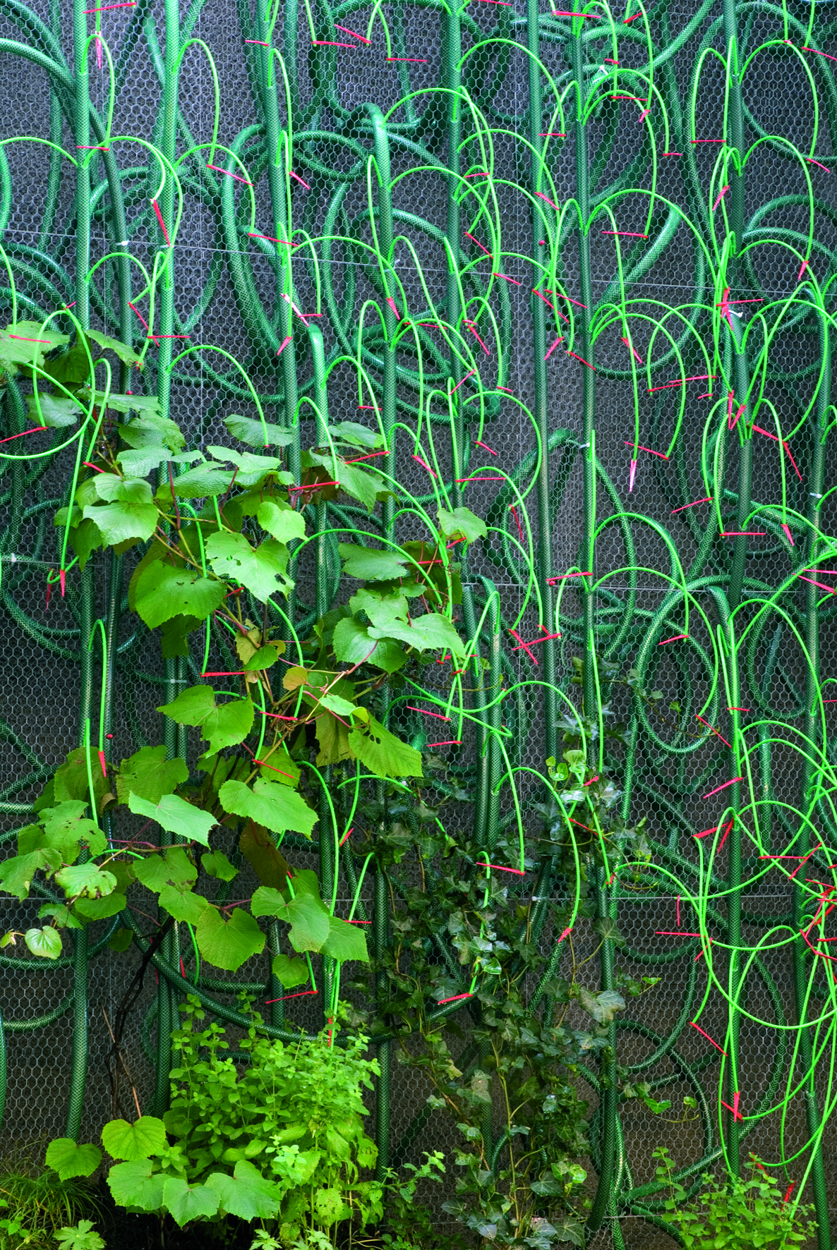5.3 Hosepipe garden ©L.Baud